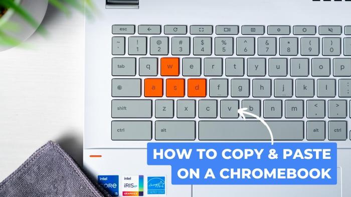 How to copy and paste on chromebook