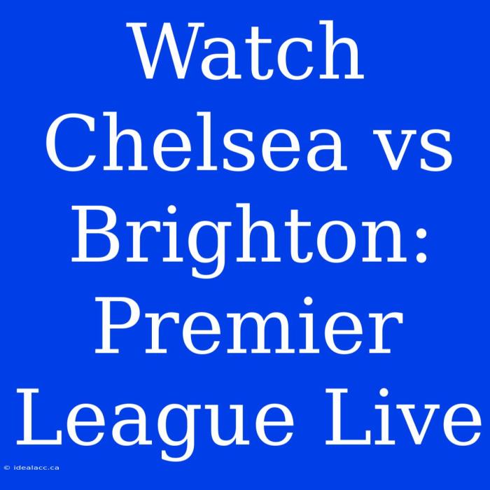 Chelsea vs Brighton