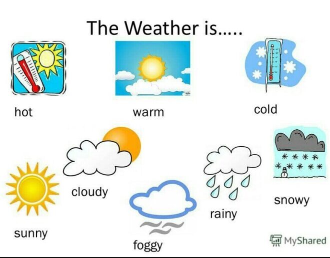 Whats the Weather Today: Your Comprehensive Guide to Current and Future Forecasts