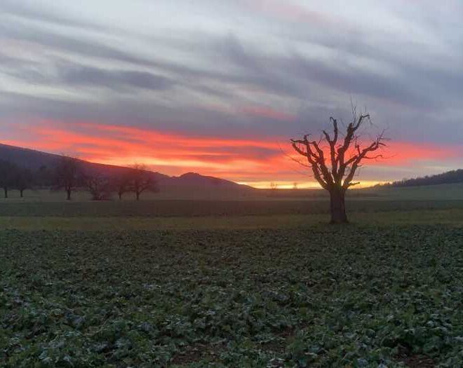 When the Sun Rises: Exploring the Worlds Sunrise Times