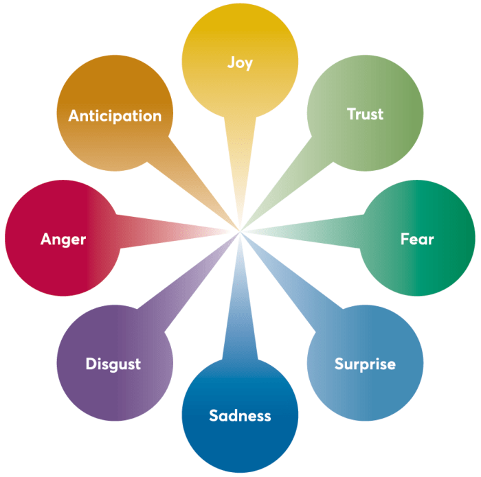 Discuss the three elements of emotion. which of these three elements do you believe is most important and why?