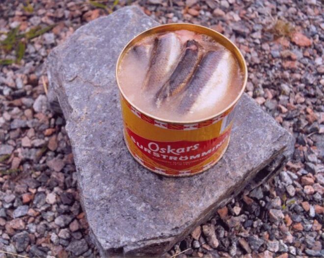 What is Surströmming: A Culinary Enigma with a Pungent Aroma